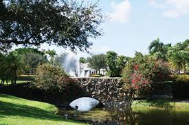 Image result for Elmbridge Boccia Club