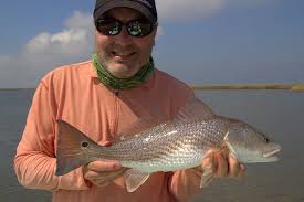 Image result for Sciaenops ocellatus