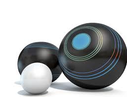 Image result for Adur Indoor Bowls Club