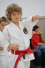 Image result for Thatcham Wado Karate Club