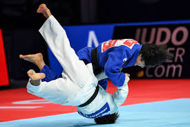 Image result for UTA Judo Club