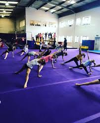 Image result for Loughton Gymnastics Club