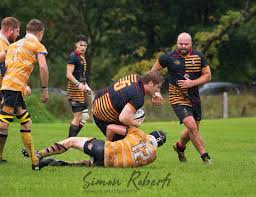 Image result for Ambleside rugby club