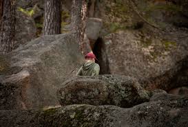 Image result for Красноярские Столбы