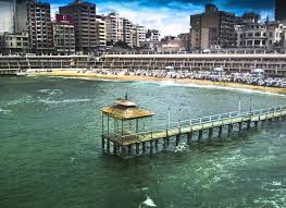 「アレキサンドリア＝パワード」の画像検索結果