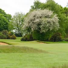 Image result for Tadmarton Heath Golf Club