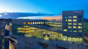 Image result for Newcastle University