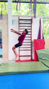 Image result for Appley Bridge Gymnastics Club