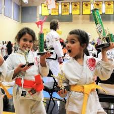 Image result for Excalibur Shotokan Karate Club