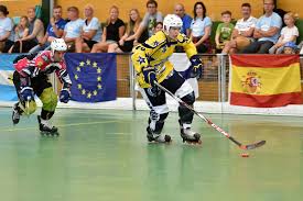 Image result for Havering Skater Hockey Club