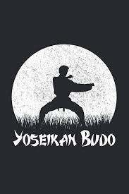 Image result for Yoseikan Budo England
