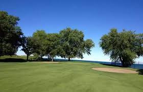 Image result for South Shore Cricket Club