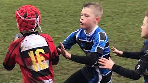 Image result for Tycroes Rugby Football Club