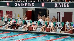 Image result for 1066 Swimmers