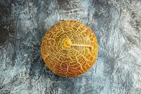 Attēlu rezultāti vaicājumam “Crepis tectorum fruit”