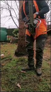 Image result for pfanzelt tehron