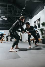Image result for Brazilian-martial arts