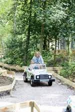 Image result for The Go Ape Experience (Swinley Forest)