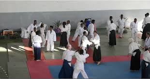Image result for Moslin & Dewandre Aiki Dojo