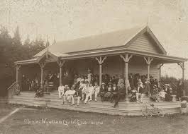 Image result for Wandham Cricket Club