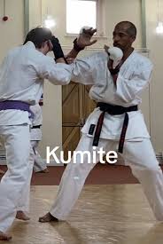 Image result for Ynys Mon Shukokai Karate Club, North Wales