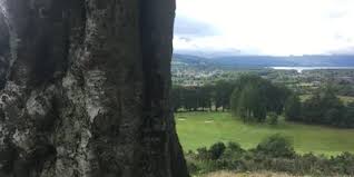 Image result for Vale Of Leven Golf Club