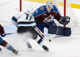 Image result for Ash Avalanche Skater Hockey Club