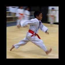 Image result for yonju dojo