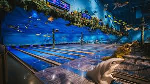 Image result for Holland-On-Sea (York Road) Bowling Club