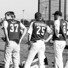 Image result for Norwich Iceni Baseball Club