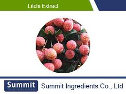 Image result for Litchi chinensis