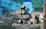Beijing Zoo Giant Panda House - via Daymix