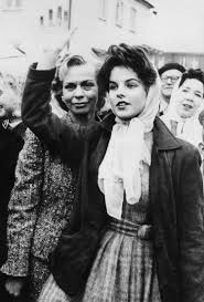 Attēlu rezultāti vaicājumam “Licea pusilla young”