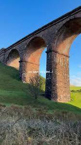 Image result for York University Canoe Club