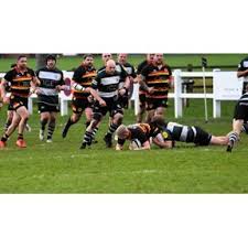Image result for York Rugby Union Football Club