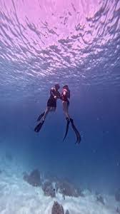 Image result for Exe To Sea Diving