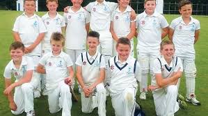 Image result for Bronwydd Cricket Club