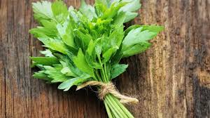 Image result for Liebstöckel