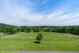 Image result for Annandale Equestrian Centre