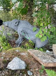 Image result for Osprey Archery Club