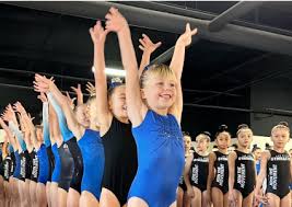 Image result for Aerodyne Gymnastics Club