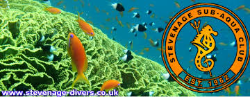 Image result for Stevenage Aqualine SSC