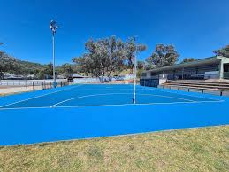Image result for Lawn Netball Club