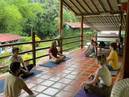 Image result for Hatha Yoga With Marta