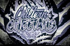 Image result for Chiltern Cheetahs