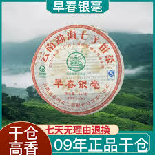 Image result for 2009早春