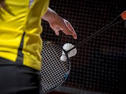 Image result for Regis Badminton Club