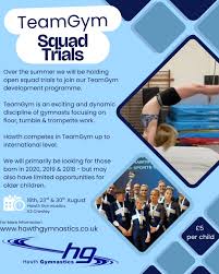 Image result for Hawth Gymnastics, Crawley