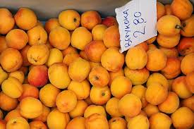 Attēlu rezultāti vaicājumam “Prunus armeniaca fruit”