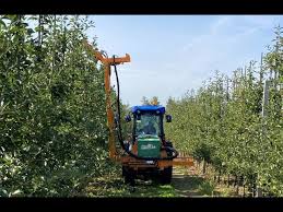 Image result for coupeco tehron